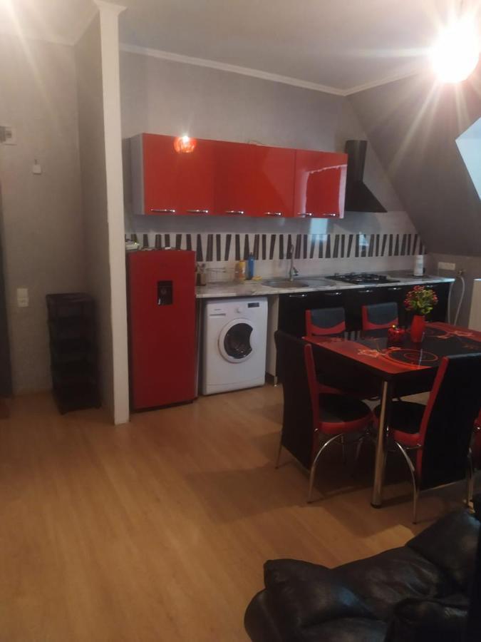 Lizielene Daire Borjomi Dış mekan fotoğraf