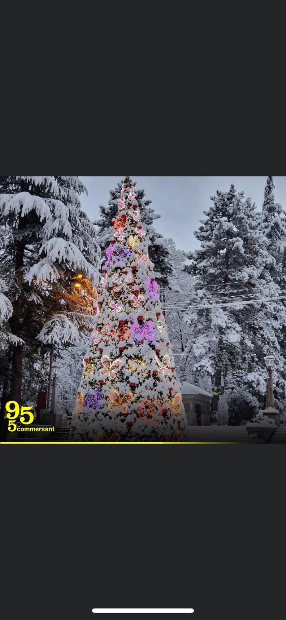 Lizielene Daire Borjomi Dış mekan fotoğraf